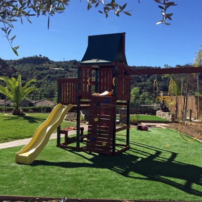 Synthetic Grass in Enchanted Hills, New Mexico