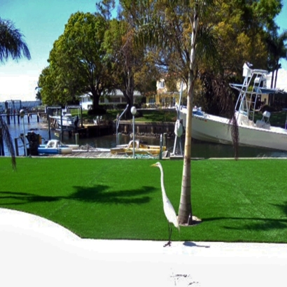 Synthetic Turf Sandia Knolls, New Mexico Landscaping Business, Backyard Design