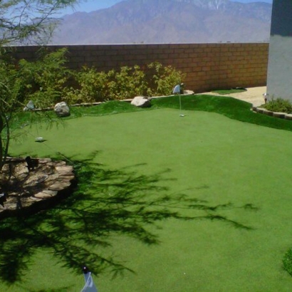Artificial Grass in Arenas Valley, New Mexico