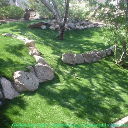 Synthetic Grass in Corrales, New Mexico