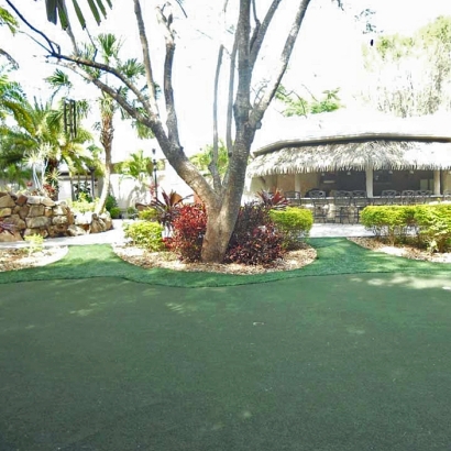 Artificial Putting Greens & Turf Pleasanton, New Mexico