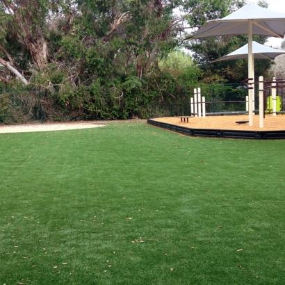 Backyard Putting Greens & Synthetic Lawn in Grenville, New Mexico