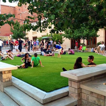 Artificial Turf in Lemitar, New Mexico