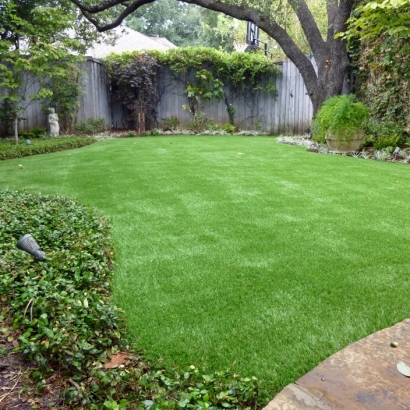 Artificial Turf in Lumberton, New Mexico