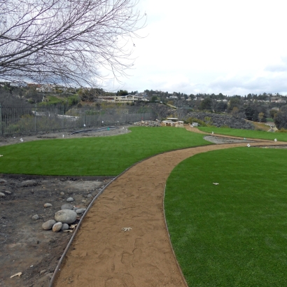 Turf Grass Oasis, New Mexico High School Sports