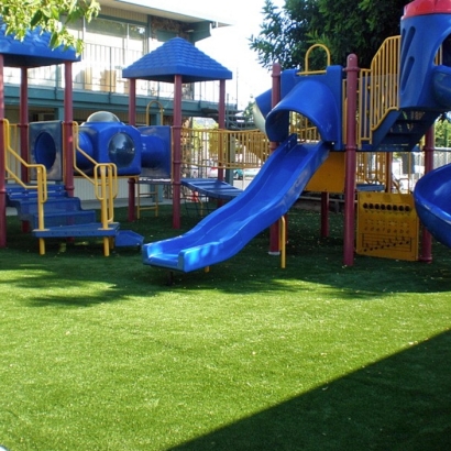 Turf Grass Orogrande, New Mexico Gardeners, Commercial Landscape