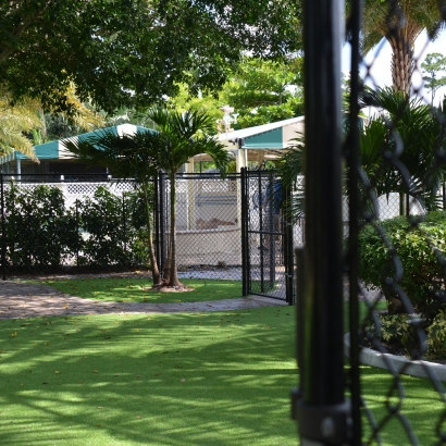 Backyard Putting Greens & Synthetic Lawn in Santa Teresa, New Mexico