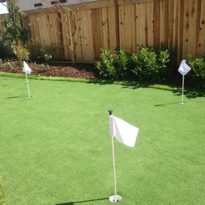 Turf Grass Tome, New Mexico Putting Green Turf, Backyard Landscaping Ideas
