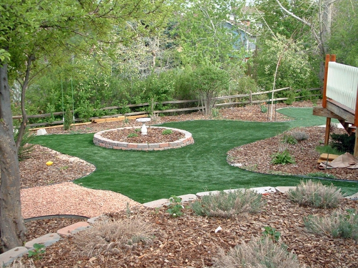 Artificial Grass Adelino, New Mexico Lawns, Backyard Landscape Ideas