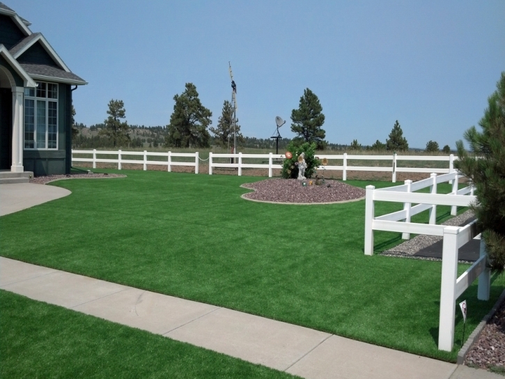 Artificial Grass Carpet Cobre, New Mexico Garden Ideas, Front Yard Landscaping Ideas