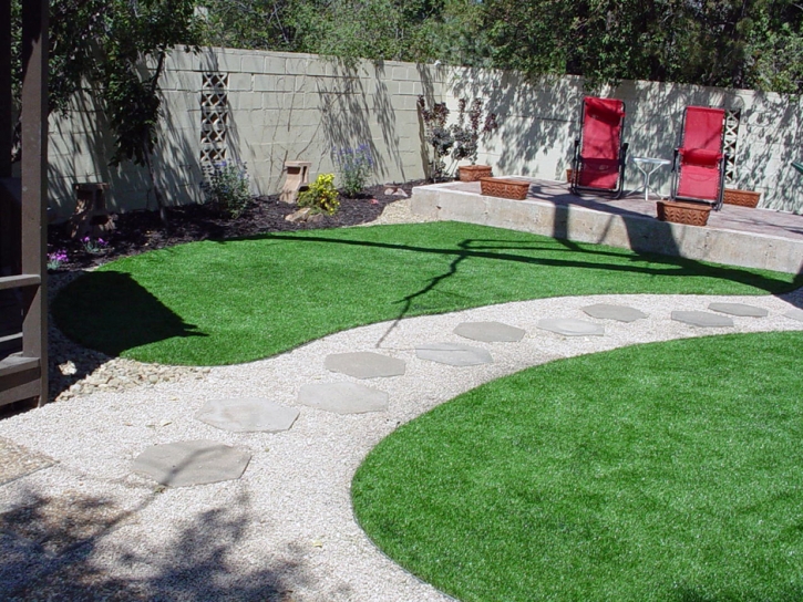 Artificial Grass Carpet Fence Lake, New Mexico Design Ideas, Backyard Design
