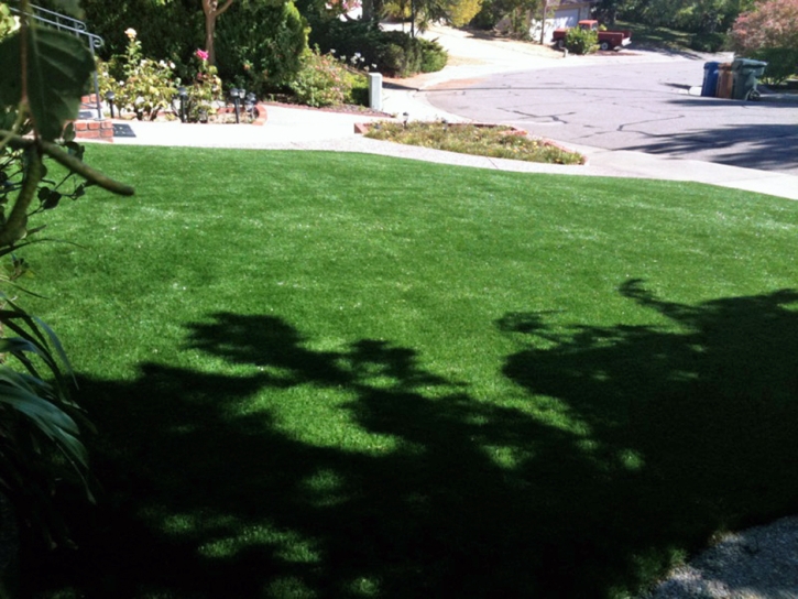Artificial Grass Duran, New Mexico Paver Patio, Landscaping Ideas For Front Yard