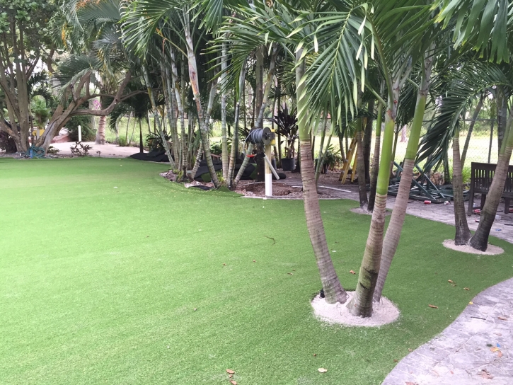 Artificial Grass Encino, New Mexico Landscaping, Commercial Landscape