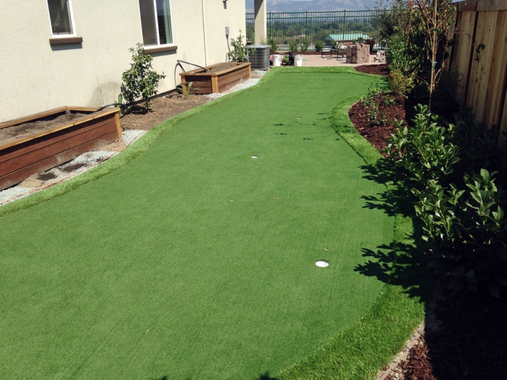 Artificial Grass Installation Hillsboro, New Mexico Golf Green, Backyard Landscaping Ideas