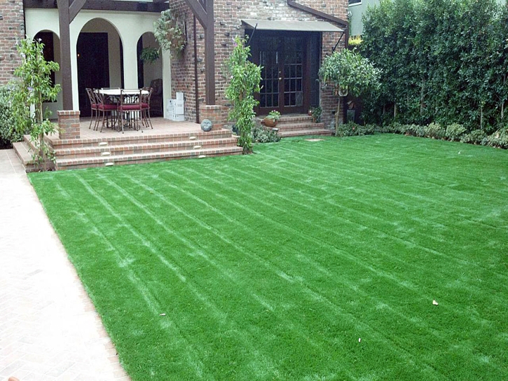 Artificial Grass Installation Nogal, New Mexico Landscaping Business, Front Yard Landscape Ideas