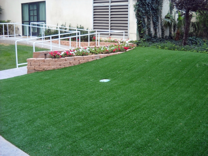 Artificial Grass Installation Oasis, New Mexico Indoor Putting Greens, Front Yard Design
