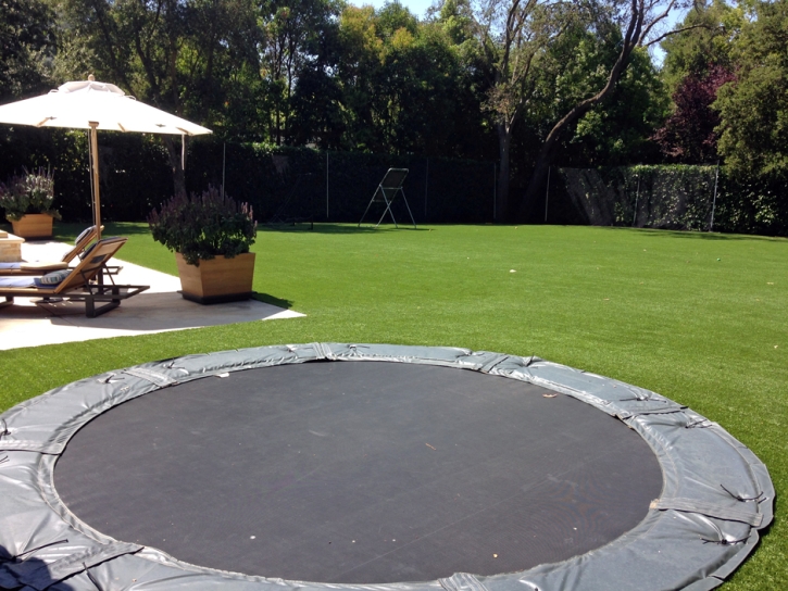 Artificial Grass Installation Pastura, New Mexico Landscape Photos, Backyard Makeover