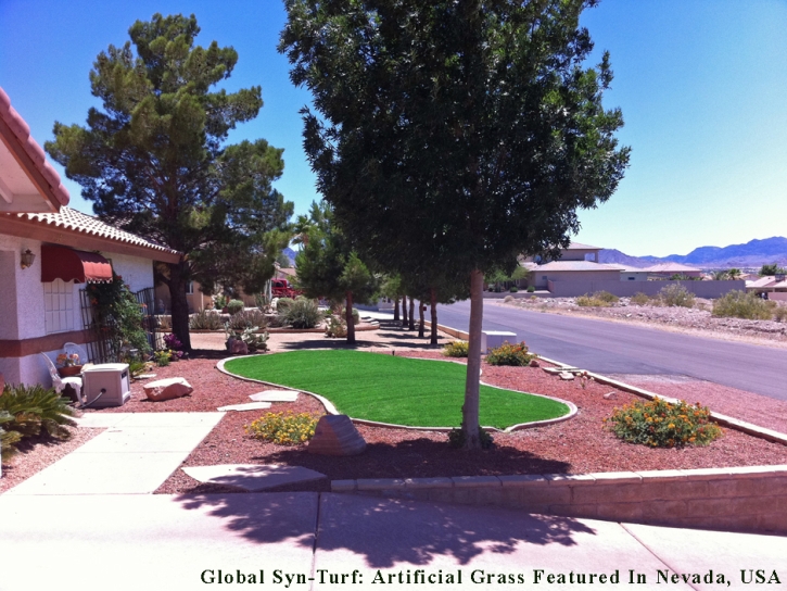 Artificial Grass North Valley, New Mexico Paver Patio, Front Yard Landscape Ideas