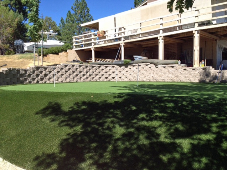 Artificial Lawn Eagle Nest, New Mexico Artificial Putting Greens, Backyard Ideas