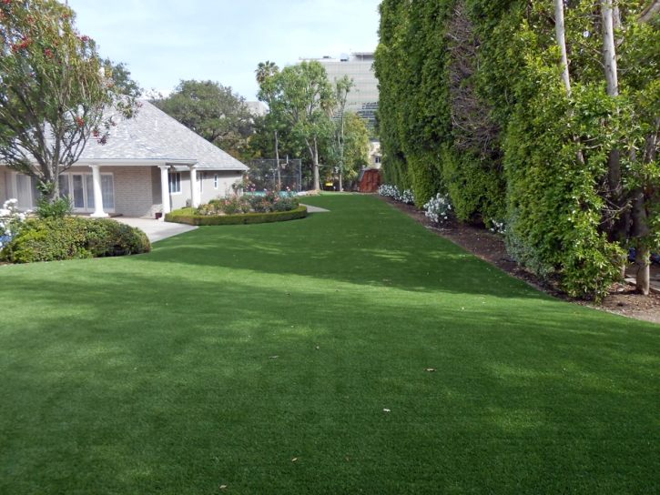 Artificial Lawn Hope, New Mexico Lawns, Front Yard Landscaping Ideas