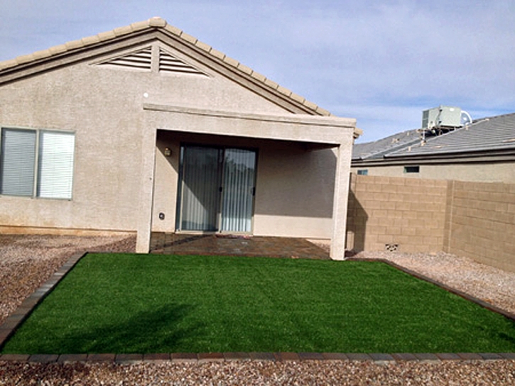 Artificial Lawn North Valley, New Mexico Dog Grass, Backyard Ideas