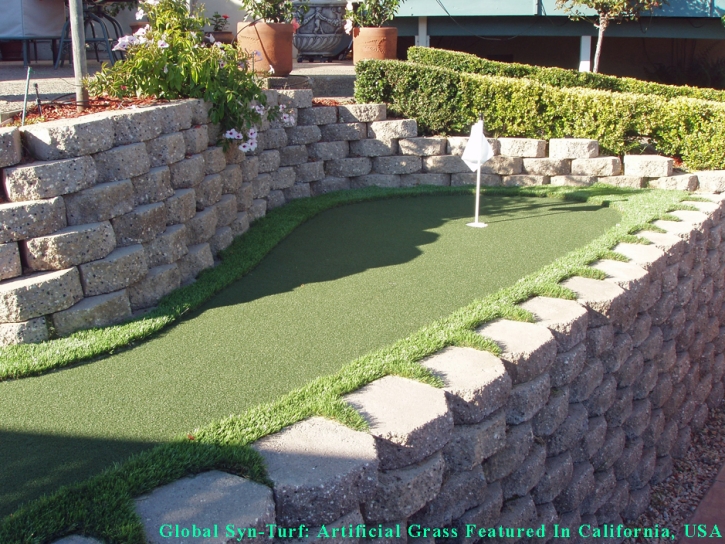 Artificial Lawn Paradise Hills, New Mexico Lawn And Garden, Backyard Landscape Ideas