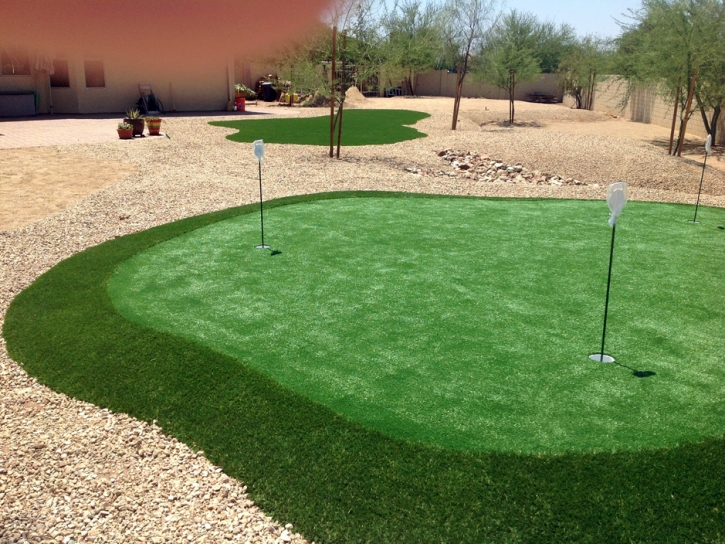 Artificial Lawn Tesuque, New Mexico Best Indoor Putting Green, Backyard Landscaping