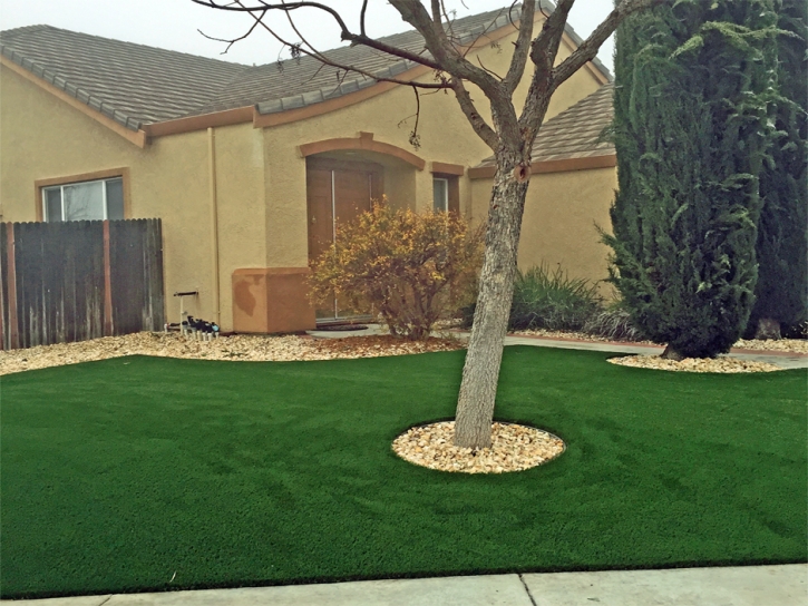 Artificial Lawn Tesuque, New Mexico Landscape Photos, Front Yard Landscape Ideas