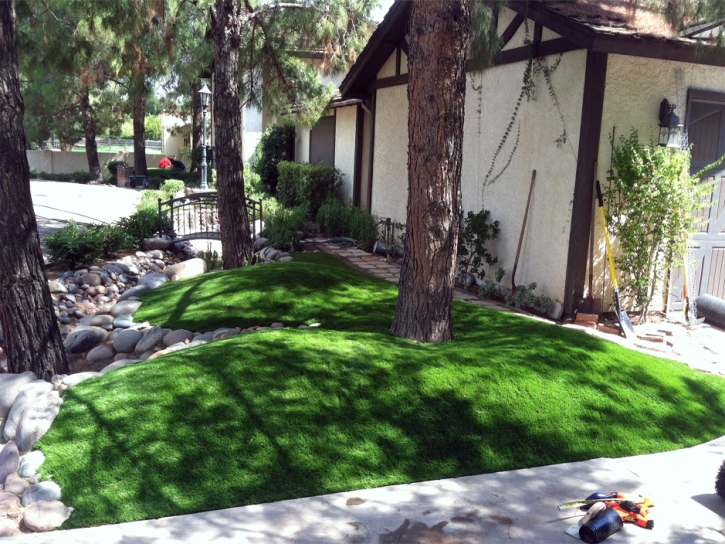 Artificial Lawn Willard, New Mexico, Landscaping Ideas For Front Yard