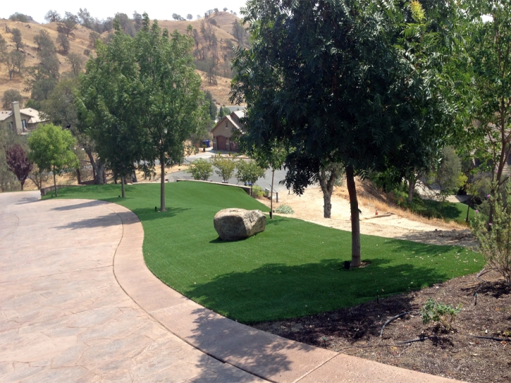 Artificial Turf Abiquiu, New Mexico Garden Ideas, Front Yard Landscape Ideas
