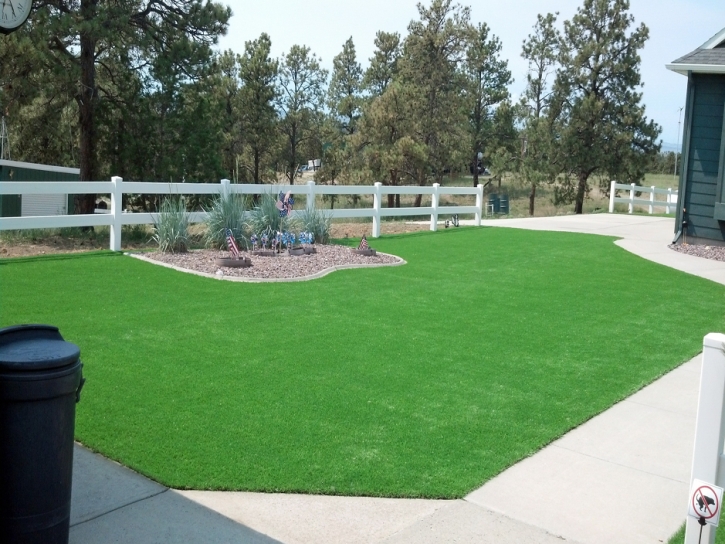 Artificial Turf Cost Canon, New Mexico Landscaping Business, Landscaping Ideas For Front Yard