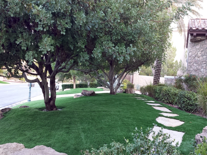 Artificial Turf Cost Crystal, New Mexico Backyard Deck Ideas, Front Yard