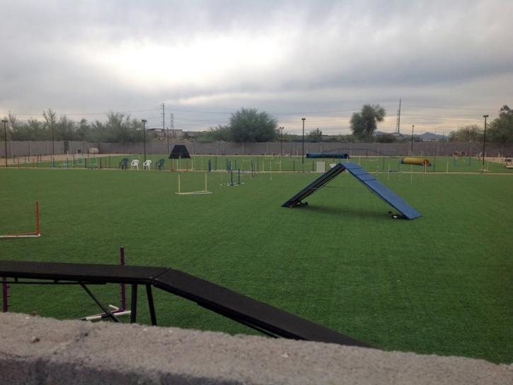 Artificial Turf Cost Rio Rancho, New Mexico Backyard Soccer, Parks
