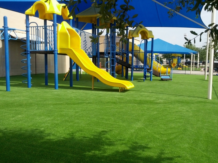 Artificial Turf Cost Youngsville, New Mexico Indoor Playground, Commercial Landscape