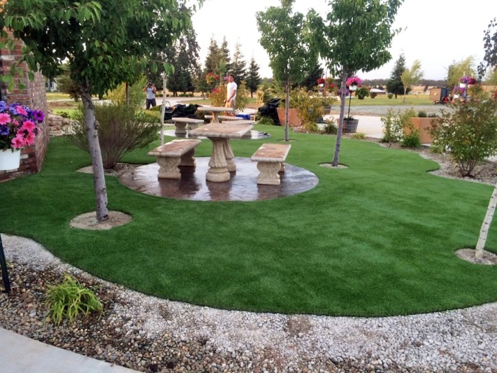 Artificial Turf Cubero, New Mexico Indoor Playground, Commercial Landscape