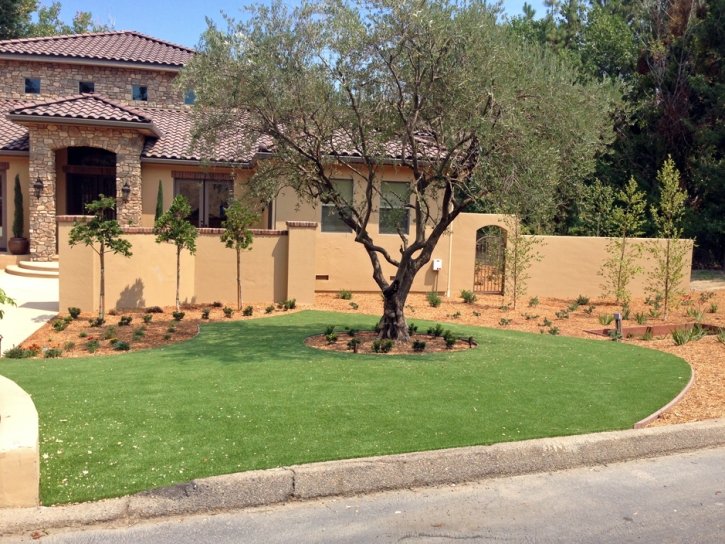 Artificial Turf Installation Capulin, New Mexico Landscape Photos, Front Yard