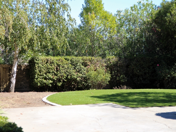 Artificial Turf Installation San Luis, New Mexico Landscape Design, Backyard Designs