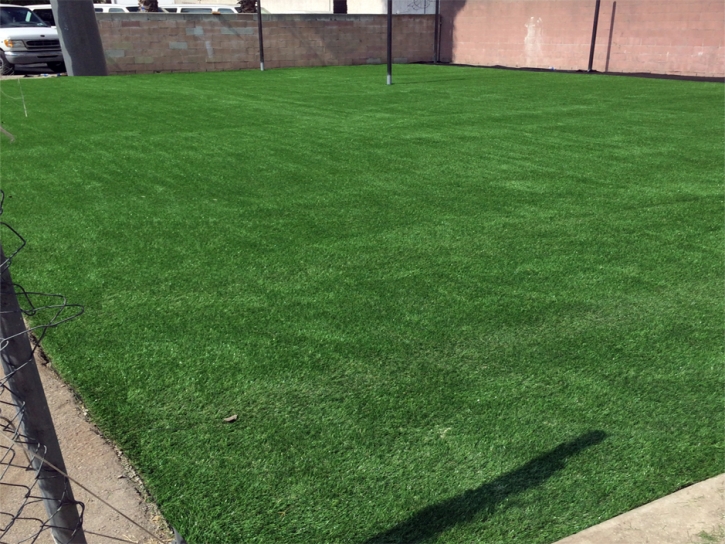 Artificial Turf Organ, New Mexico Bocce Ball Court