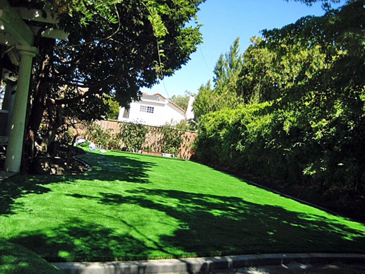 Artificial Turf Paguate, New Mexico Lawn And Garden, Backyard Designs