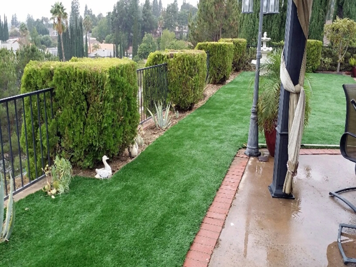 Artificial Turf Pena Blanca, New Mexico Landscaping Business, Backyard Landscaping Ideas