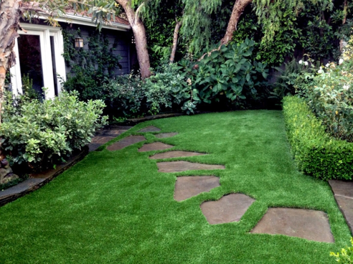 Artificial Turf Williamsburg, New Mexico Roof Top, Small Backyard Ideas