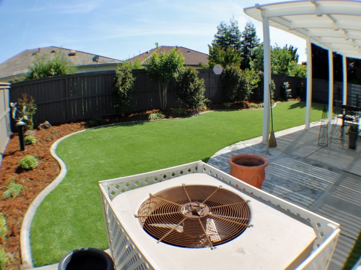 Best Artificial Grass Alamillo, New Mexico Home And Garden, Small Backyard Ideas
