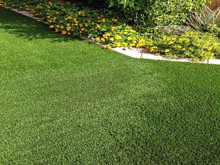 Best Artificial Grass Arroyo Seco, New Mexico Design Ideas, Front Yard Landscaping