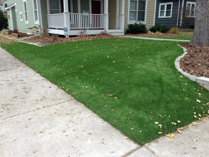 Best Artificial Grass El Duende, New Mexico Home And Garden, Front Yard Landscaping Ideas