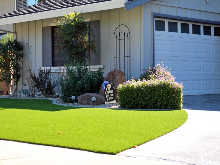 Best Artificial Grass La Joya, New Mexico Lawn And Landscape, Small Front Yard Landscaping