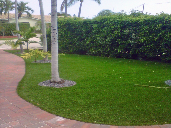 Best Artificial Grass Questa, New Mexico Lawns, Front Yard