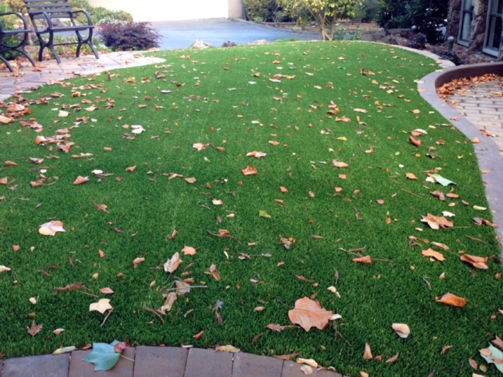 Best Artificial Grass Ruidoso Downs, New Mexico Backyard Deck Ideas, Front Yard Landscaping Ideas