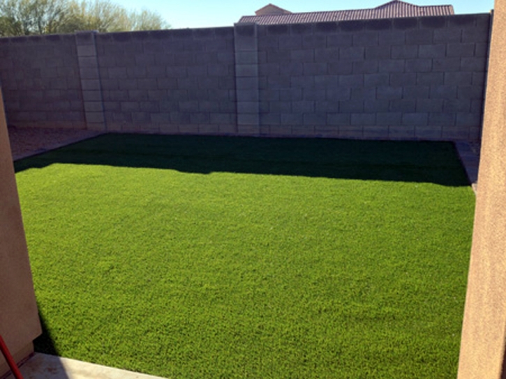 Best Artificial Grass University Park, New Mexico Lawn And Landscape, Backyard Ideas