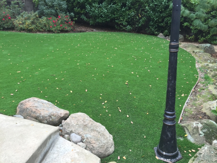 Fake Grass Carpet Chamizal, New Mexico Landscape Ideas, Beautiful Backyards