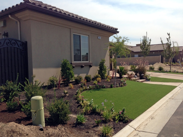 Fake Grass Carpet Glenwood, New Mexico Lawn And Landscape, Small Front Yard Landscaping